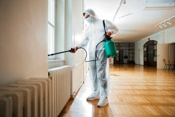 Reliable Mattituck, NY Pest Control Solutions